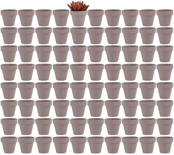 Yishang 2 inch Grey Small Terracotta Pots with Drainage Holes,Mini Clay Ceramic Pottery Planter,Cactus Flower Nursery Terra Cotta Pots, for Indoor/Outdoor Succulent Plants, Crafts(80 Pack)