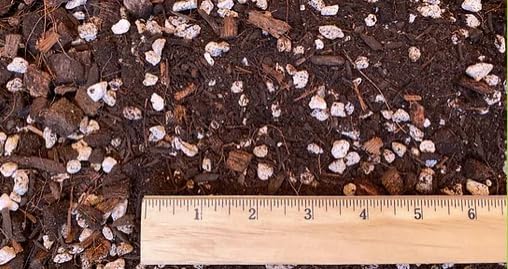 De La Tanks House Plant Mix 16 qt Bag - Premium Indoor Plant Soil Superior Indoor Potting Soil All-Purpose Potting Mix for Houseplants - Potting Soil for Indoor Plants All-Purpose Potting Mix