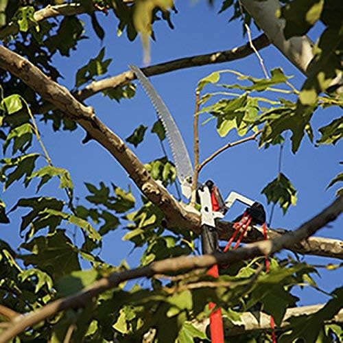 Corona tools TP 4210 DualLink Tree Saw and Pruner, 10 Feet,Red