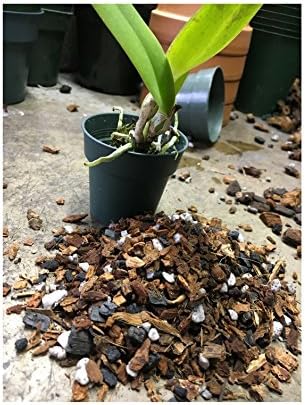 Potting Soil with Perlite, peat Moss, Coconut, Charcoal and fine Orchid bark for Young Plants & Orchid Seedlings All Natural Orchid bark Potting Mix for Potting Soil Indoor Plants