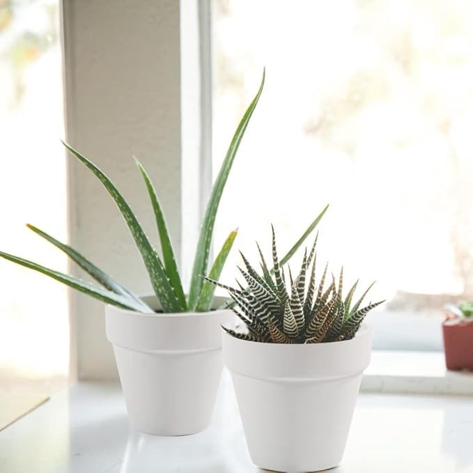 3 Inch Terracotta Pots - 22Pack Clay Flower Pots with Drainage Hole, Succulent Nursery Pot/Cactus Plant Pot. Great for Plants, Crafts, Wedding Favorn, DIY Production (White)