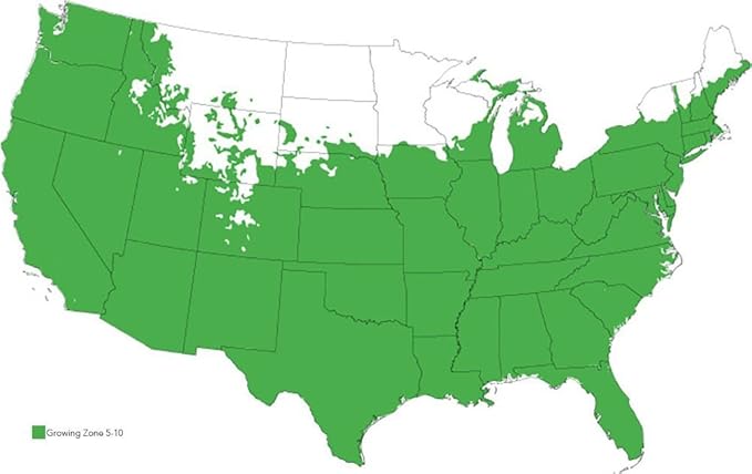 PERFECT PLANTS Coral Drift Rose Live Plant, 3 Gallon, Includes Care Guide