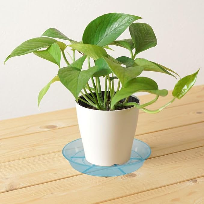 6 Pack Plant Saucer Drip Tray, 4 5 6 8 9 10 12 14 16 18 inch, Heavy Sturdy Plastic Planter Flower Pot Saucers for Indoor Outdoor Garden, Plant Water Drip Trays for pots Base (4", Blue)