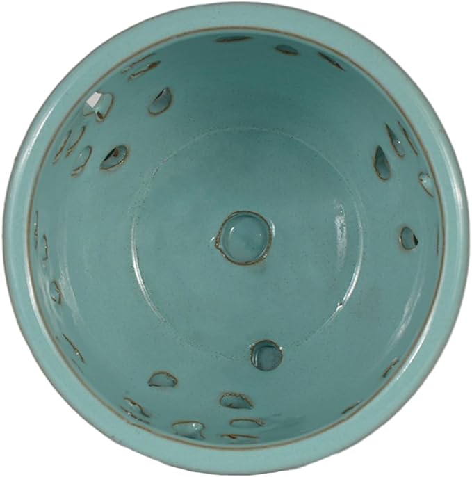 W&W Orchid Pot with Holes and Saucer for Repotting, Turquoise, 5.8 Inches