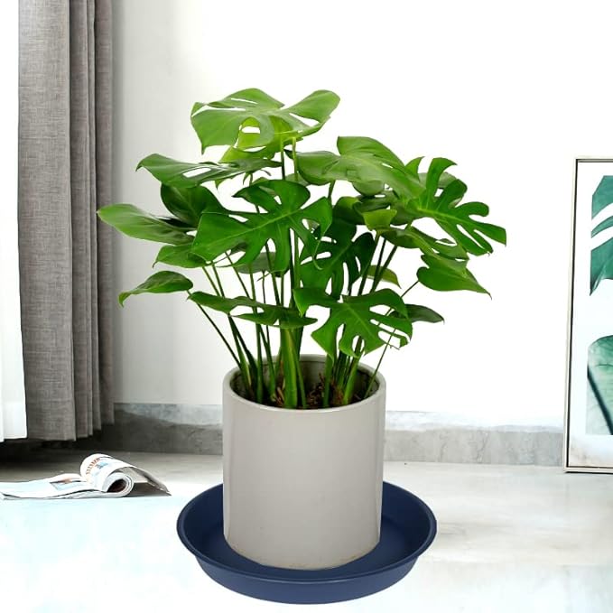 6 Pack of 6 inch Plant Saucer Drainage Tray, 4 5 7 8 10 12 13 15 17 19 inch Plastic Plant Water Tray, Flower Saucers for Indoors, Plant Dishes for Pots Base (6 inch, Blue)