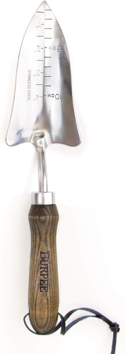 Burpee 13" Stainless Steel Transplanter | Durable Long Lasting Garden Tool | Leather Wrist Strap 5" Handle, Walnut