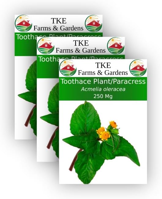 TKE Farms - Toothache Plant/Paracress Seeds for Planting, 250 Mg, Approximately 1000 Seeds, Acmelia oleracea, Non-GMO, Heirloom, Qty 3