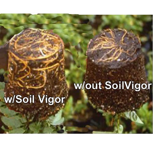 1 Pound Soilmoisture Trap Potassium Super Absorbent Hydro Gel Granules Polymer; Soil Vigor