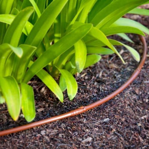 DIG ML-112B ¼” 100’ MICROLINE™ Dripline, 12” Dual Outlet Emitter Spacing, UV-Resistant Tubing for Efficient Irrigation | Ideal for Raised Beds | Flexible, Durable, Easy Installation (Brown)