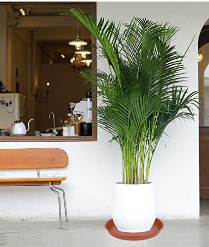 2 Pack of 20 22 inch Plant Saucer (19.1 inch Base), 3.6" Depth Tray, Large Deep Heavy Duty Saucers for Pots, Garden Bird Bath Bowl, Plant Trays for Indoors Outdoor (21", Terracotta)