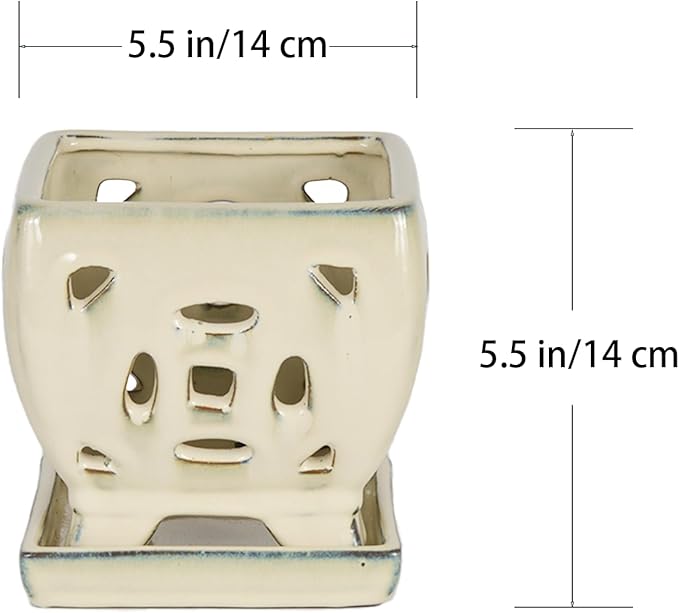 W&W Orchid Pot with Holes and Saucer for Repotting, Cream White, 5.5 Inches