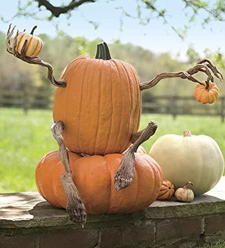 Plow & Hearth Set of 4 Bendable Pumpkin Arms and Legs | Create Whimsical Halloween Decor | Spooky Vine Design | Includes 2 arms and 2 Legs, Iron, Orange