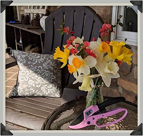 EZ Kut Original Ratcheting Pruner Kit with Molded Ballistic Nylon Sheath and Carbide Blade Tool, Pink and Black