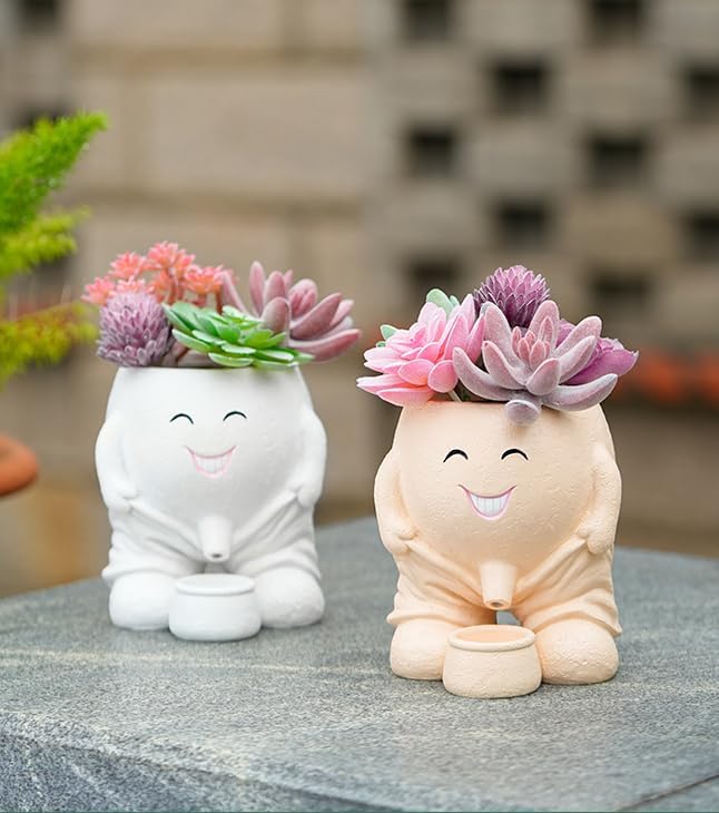 Quirky Creative Planter with Smiley Face,Naughty Boy Plant Face Pot with Drainage Hole,for Indoor Outdoor, Christmas, (Naughty Boy,Khaki)