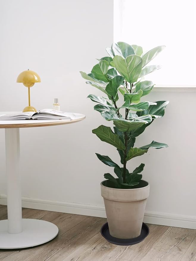 4 Pack of 16 inch Plant Saucer (13.5" Base), Heavy Duty Plastic Plant Tray for Pots, Flower Water Trays for Indoors, Bird Bath Bowls, Plant Drip Saucers for Planter 14"/15"/16" (Black)