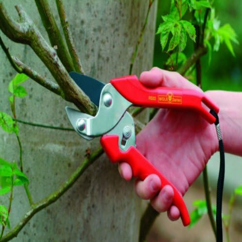 WOLF Garten RS22 Anvil Pruner