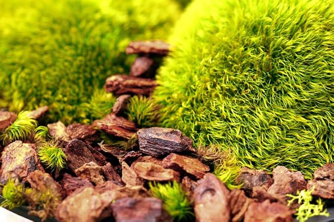 SuperMoss (23114) Orchid Potting Bark, Natural, 4 quarts