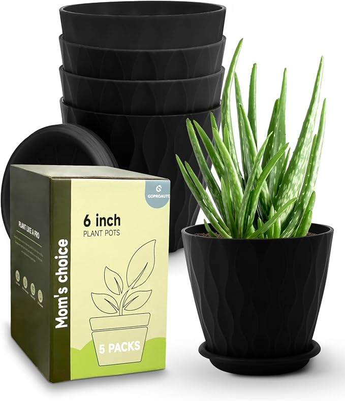 6 Inch Indoor Planter Pots with Drainage Hole and Tray Saucer,Flower Pots for Indoor Outdoor Garden Plants and Flowers, Multicolor, 5 Packs (Black)