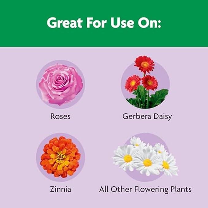 Miracle-Gro Shake 'N Feed Rose & Bloom Plant Food