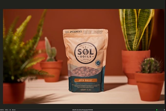 LECA Balls - 2 Quarts