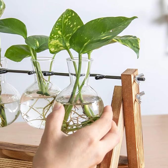 Ivolador Propagation Station, Bulb Plant Terrarium,Planter and Holder Plant Lover Gifts for Women ，Gifts for mom，Plants Home Garden Wedding Decor (3 Bulb-C Type)