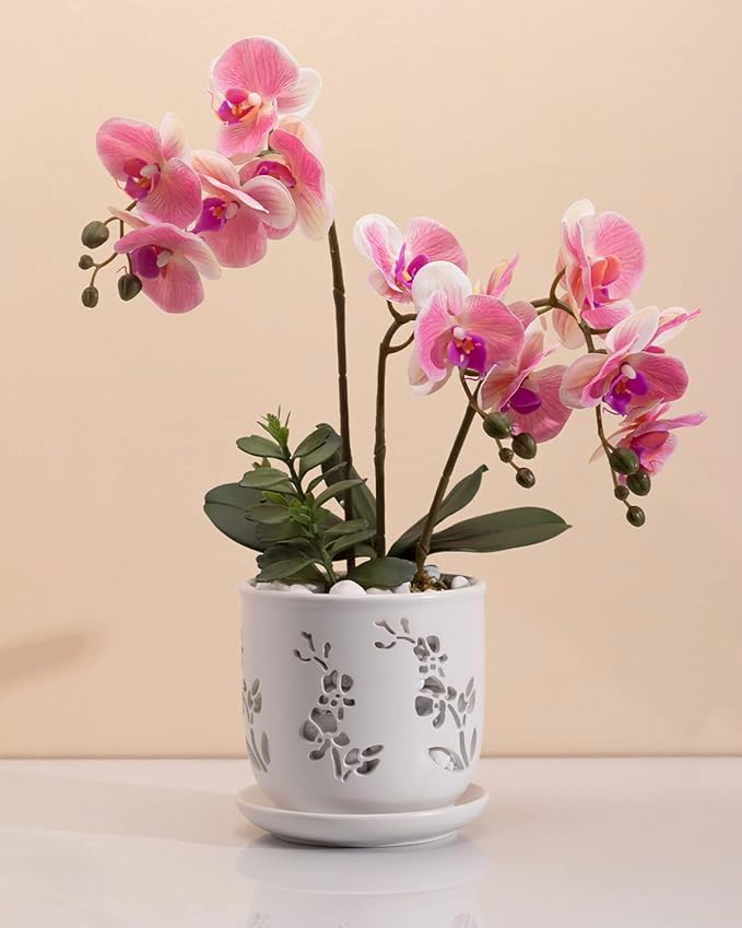 Orchid Pot, 6.5 inch Large Orchid Pots with Holes for Healthy Growth and Easy Repotting, Premium Ceramic Orchid Planter for Indoor and Outdoor Use, Perfect Home for Your Orchids to Thrive
