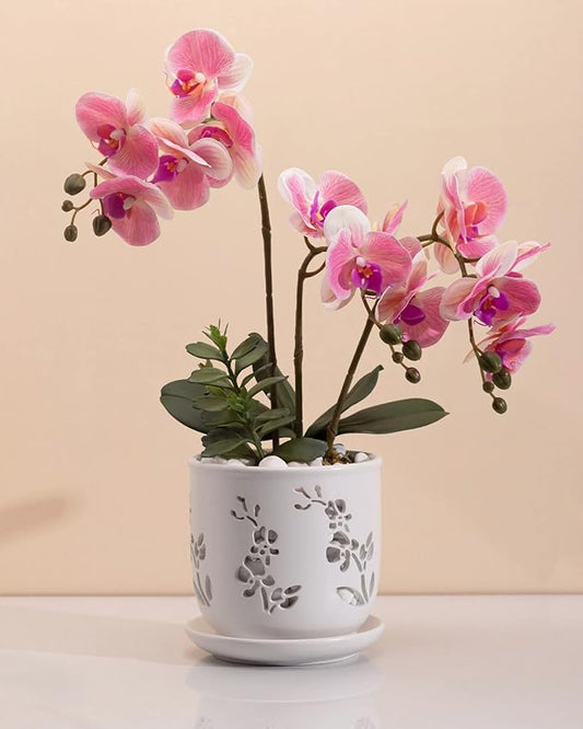Orchid Pot, 6.5 inch Large Orchid Pots with Holes for Healthy Growth and Easy Repotting, Premium Ceramic Orchid Planter for Indoor and Outdoor Use, Perfect Home for Your Orchids to Thrive