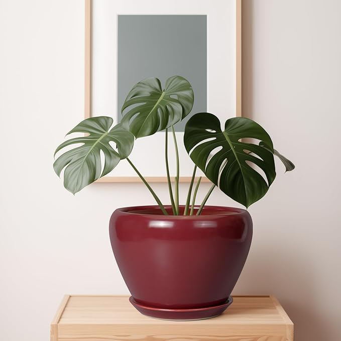 10 Inch Plant Pot - Ceramic Planter Pot with Drainage Hole and Saucer Large Planter for Indoor Plants Round Outdoor Flower Pot Mid-Century Decor Red