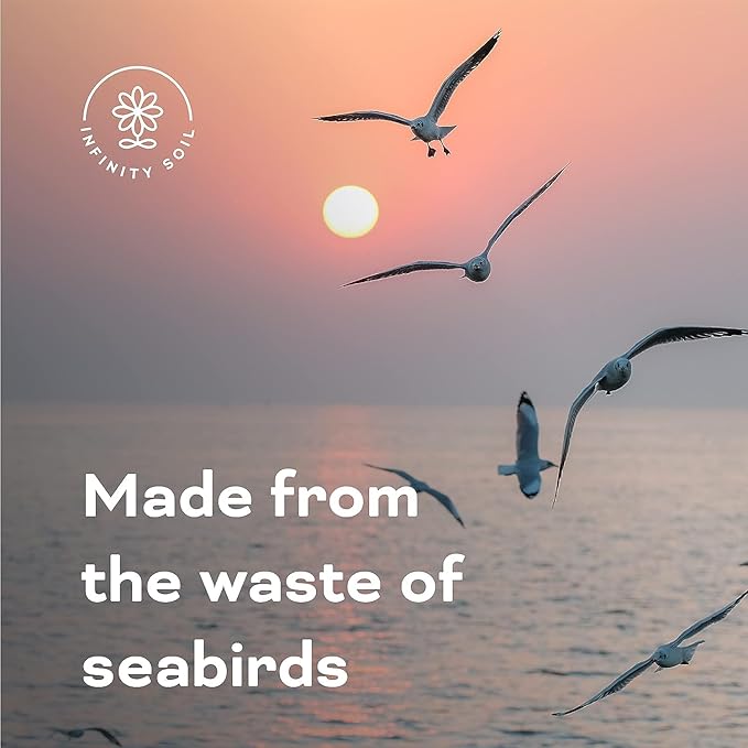 Seabird Guano - Sustainable and Natural Soil Amendment - Seabird Waste Rich in Phosphate and Calcium - Increases Foliage, Blooms and Fruit - 2 LBS