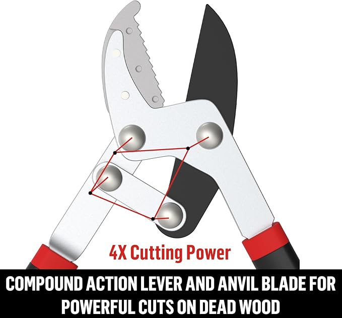 GARTOL Anvil Lopper with Compound Action 30 Inch Heavy Duty Tree Branch Cutter, 2 inch Cutting Capacity Tree Trimmer for Thick Branches Clean Cut Easy, Ergonomically Non-Slip Comfortable Handle