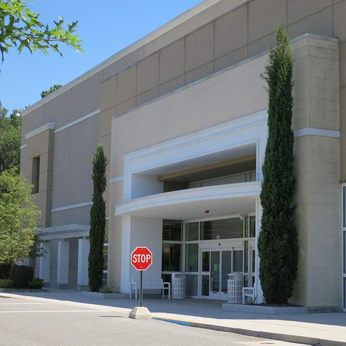 PERFECT PLANTS Italian Cypress Live Plant, 1-2', Includes Care Guide