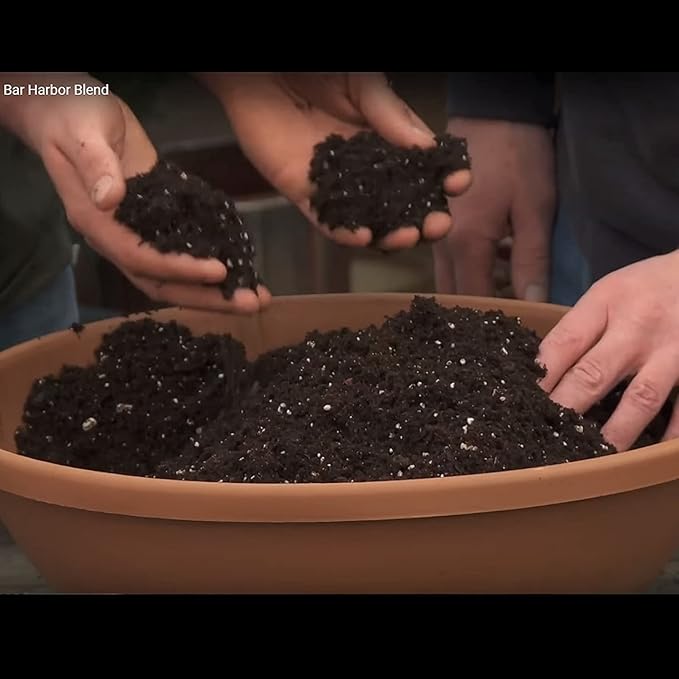 Coast of Maine Bar Harbor Blend, 8qt (Pack of 6) Organic and Natural Potting Soil for Houseplants, Flowers, Vegetables, Herbs and Containers