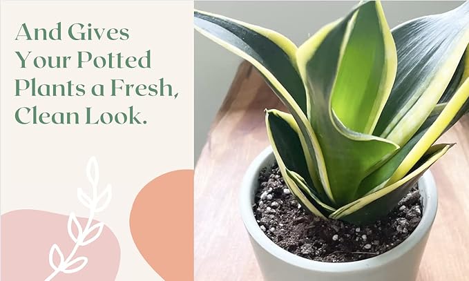 Urban Thumb and Co Ultra Fine Garden Plant Mulch - Top Cover for Indoor / Outdoor Potted House Plants - Compact Size,Potting Mix for Urban Plant Lovers- 3.25 Quarts