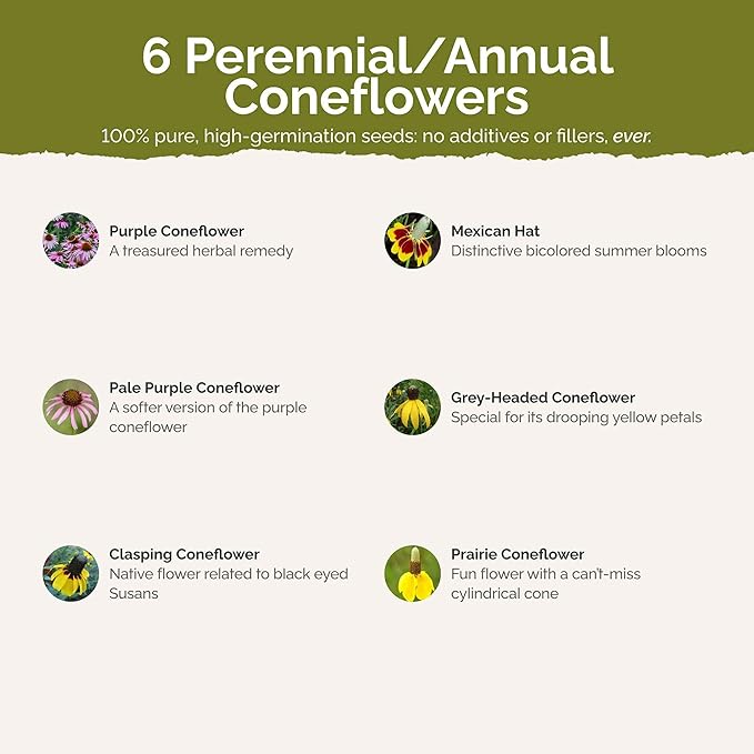 Eden Brothers Conehead Flower Mixed Seeds for Planting, 1 lb, 480,000+ Seeds with Prairie Coneflower, Mexican Hat | Attracts Pollinators, Plant in Spring or Fall, Zones 3, 4, 5, 6, 7, 8, 9, 10