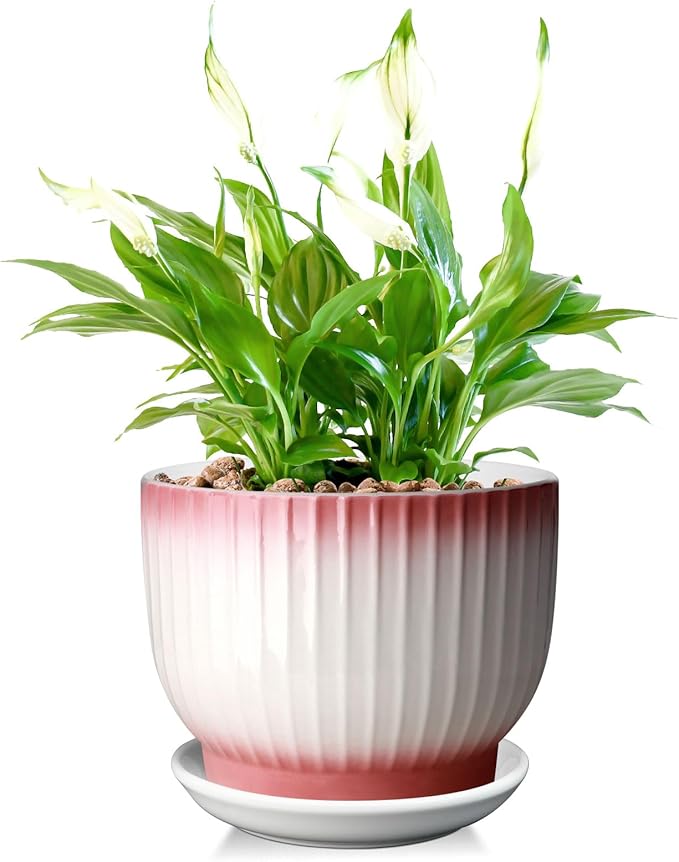 8 Inch Plant Pot, Ceramic Planter with Drainage and Saucer, Ceramic Pots for Plants, Indoor Plant pots,Ceramic Flower pots(Pink + White, Plants NOT Included)