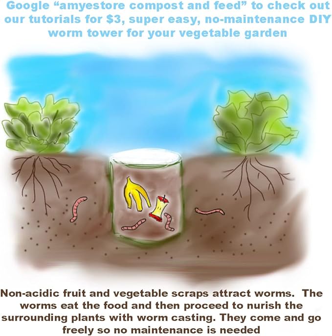 2025 Early Bird-40ct Sweet Pepper Seeds for Planting,Green & Red Bell Pepper Seeds,Non-GMO Heirloom Seeds Vegetable Seeds for Home Vegetable Garden&Hydronic Pods-Veggie Seeds:California Wonder