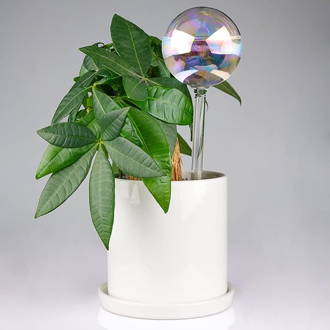 [3PCS] Light Iridescent Rainbow Gradient Color Clear Glass Self-Watering System Spikes, Automatic Plant Waterer Bulbs