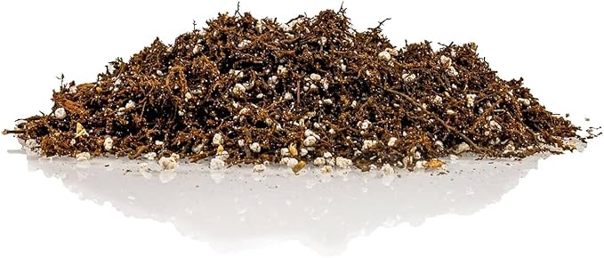 Fern + Perlite Soil Mix for Repotting and Planting Succulents and Cactuses - 1 Quart Bag