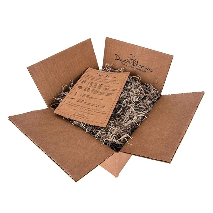 DecoBlooms Unique Succulent Plants (Collection of 16) - Fully Rooted in Planter Pots with Soil - Real Live Potted DIY Assorted Succulents