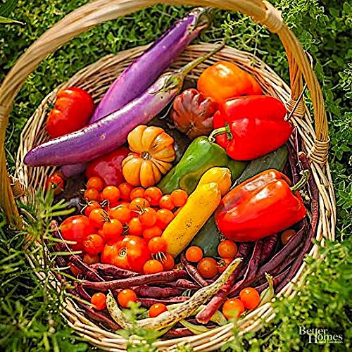 Nelson - All Vegetable Garden Plant Food, Granular Fertilizer, Multi-Purpose High Calcium Phosphorus Micronutrients in Ground, Gardens, Containers, & Greenhouses, NutriStar 12-14-11 (15 lb.)