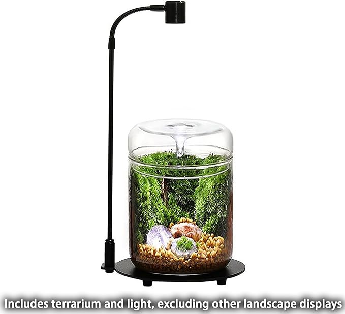 Glass Plant Terrarium 4.7"X7" Inches Succulent Air Planter Fern Moss Micro-Landscape Vase for Home Office Tabletop Decoration Container with Lid Indoor Wardian Copyright Patent（with Light）
