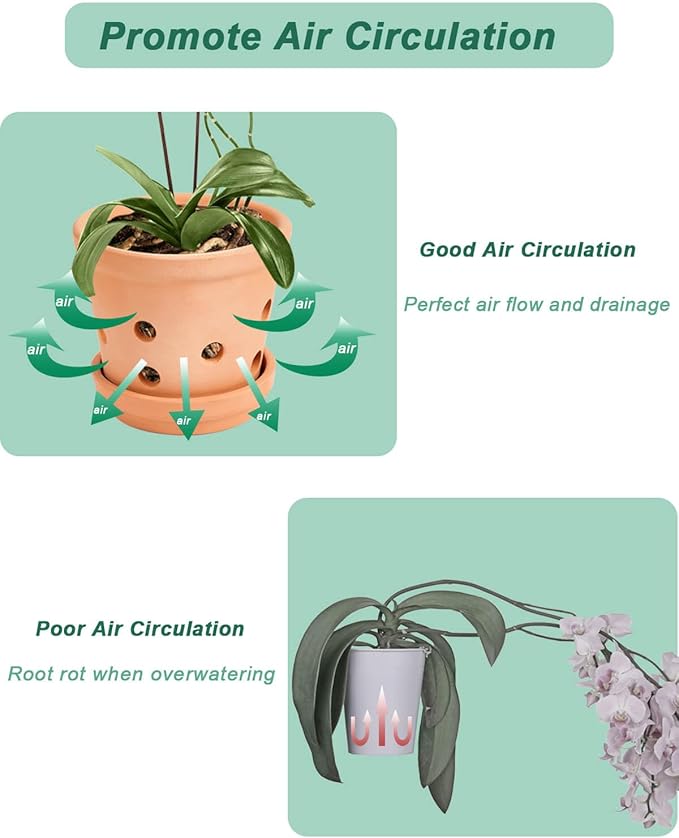 vensovo 8 Inch Terracotta Orchid Pots with Holes and Saucers - 2 Pcs Large Clay Planters for Repotting, Terra Cotta Pot for Plants Indoor and Outdoor Promotes Air Circulation
