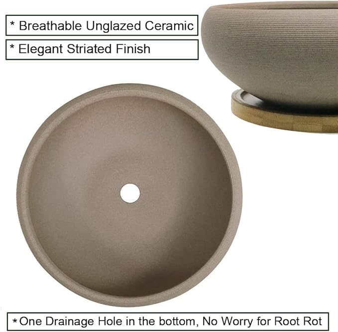 MUZHI Round Unglazed Ceramic Bonsai Pot with Bamboo Tray, Large Rough Pottery Succulent Planter with Drainage Hole 8 inch …