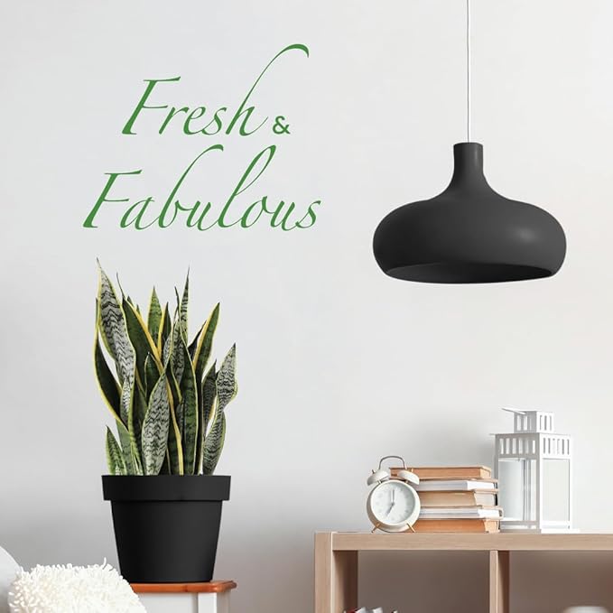 American Plant Exchange Live Sansevieria Trifasciata Laurentii Plant and Sansevieria Trifasciata Zeylanica Plant, Sansevieria Plant Bundle, Plant Pots for Home and Garden Decor, 10" Pot, Pack of 2