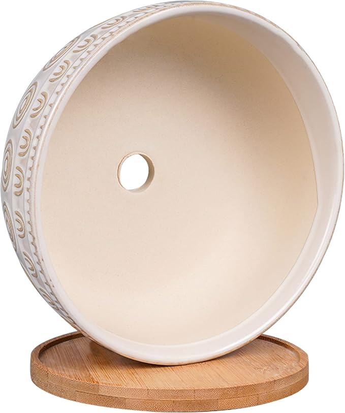 8 Inch Ceramic Succulent Planter Pot with Drainage Hole and Saucer Round Shallow Planter for Indoor Plants, White