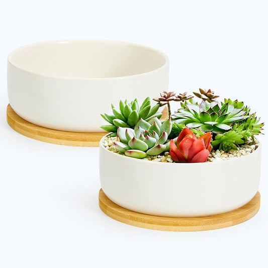 ZOUTOG Plant Pot 6 Inch, Ceramic Succulent Pots for Flower with Drainage Hole & Bamboo Tray, Higher White Round Pack of 2 with Home, Office, Indoor or Outdoor Decor - Plants Not Included