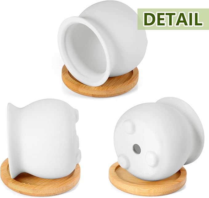 Remerry 24 Pcs Small Ceramic Pots 2.5 Inch Mini Succulent Pots Valentine's Day Gifts DIY Figurines Paint Craft Kit Unpainted Ceramic Bisque with Drainage Hole Ready to Paint for Classroom (Classic)