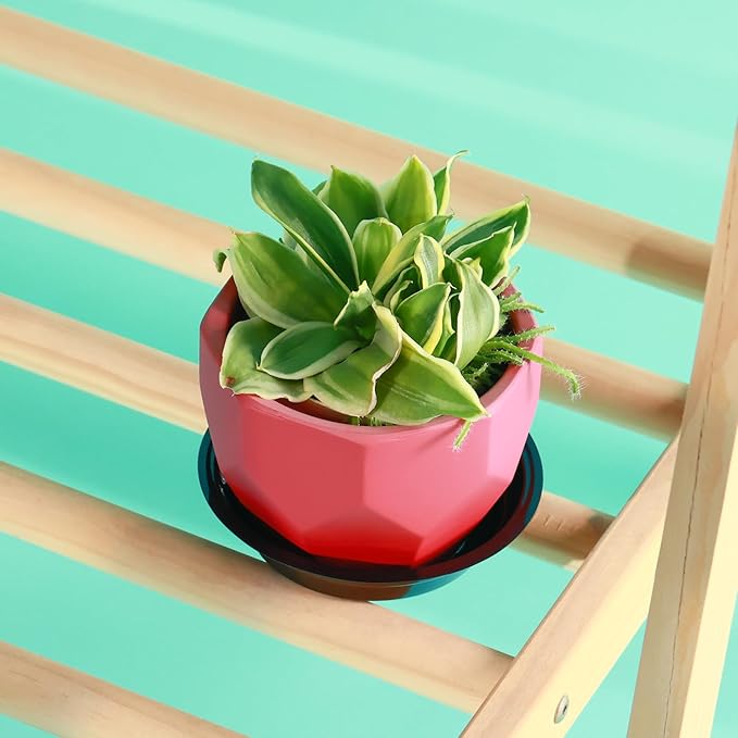 20 Pack 6 Inch Plant Saucer, Black Plant Saucers for Indoors No Holes, Plastic Plant Saucer for Plant Pots Plant Water Catcher Tray, Small Flower Pot Saucers Bulk Plant Drip Trays for Potted Plants