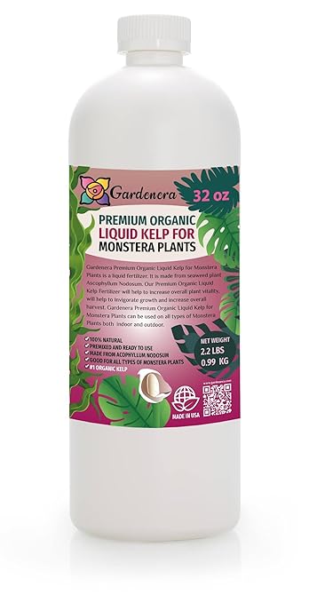 Premium Liquid Kelp Fertilizer for Monstera Plants - 32 oz- Nourish Your Monstera with Organic Seaweed Power