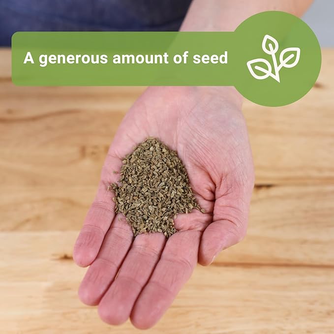 Sow Right Seeds - Bulk Scarlet Nantes Carrot Seed for Planting - 7 Grams, 4000 Seeds - Non-GMO Heirloom Jumbo Pack with Instructions to Plant a Home Vegetable Garden - Enjoy a Bountiful Harvest